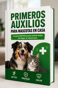 Primeros Auxilios Para Mascotas