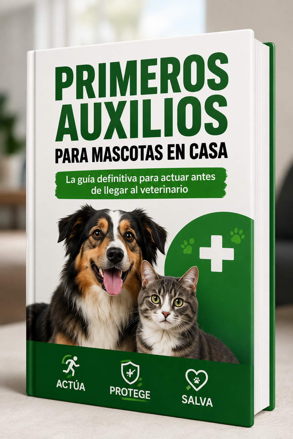 Primeros Auxilios Para Mascotas